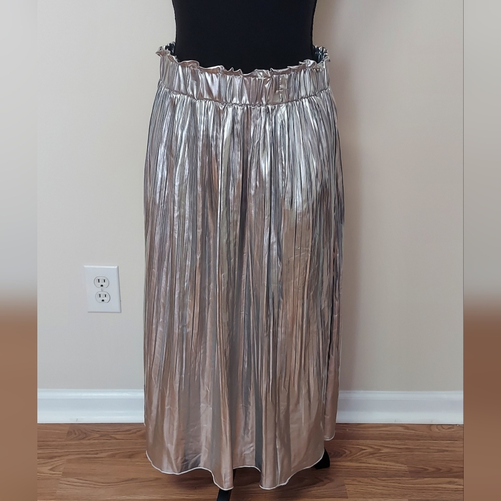 Long Silver Skirt